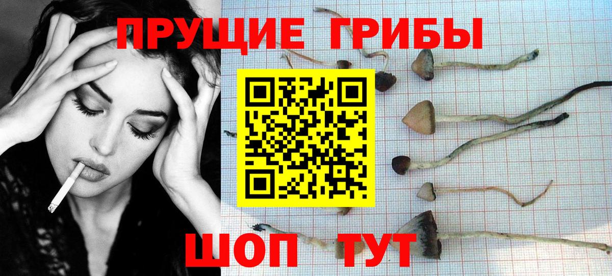 Моршанск  Галлюциногенные грибы Psilocybine cubensis  цены   Галлюциногенные грибы GOLDEN TEACHER  Вход с VPN 